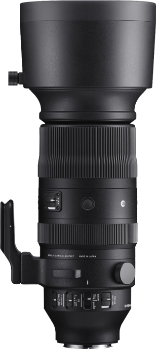 SIGMA 60-600mm F4,5-6,3 DG DN OS | Sports