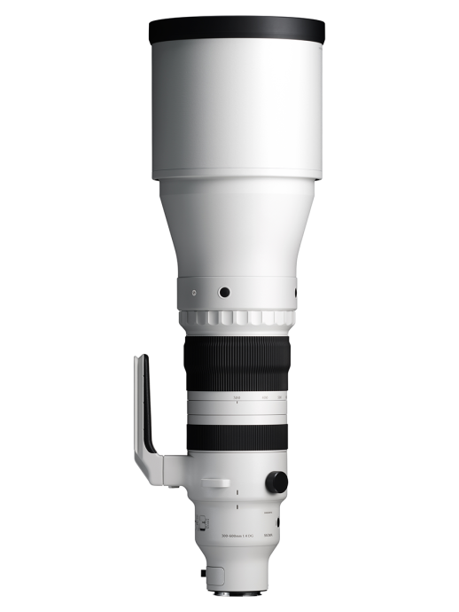 SIGMA 300-600mm F4 DG OS | Sports