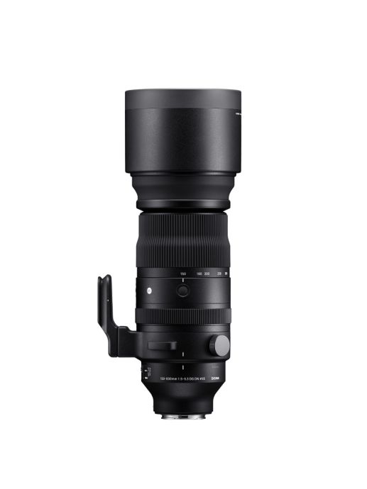 SIGMA 150-600mm F5-6,3 DG DN OS | Sports