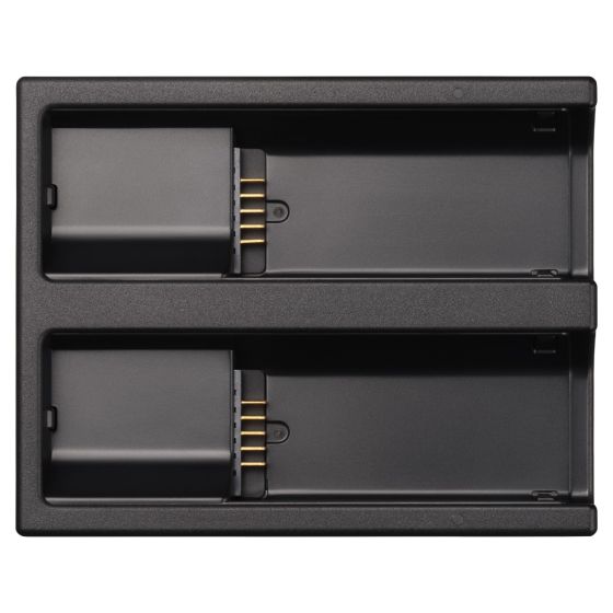 Akku Ladegerät BC-81 für Sigma BF Kamera
